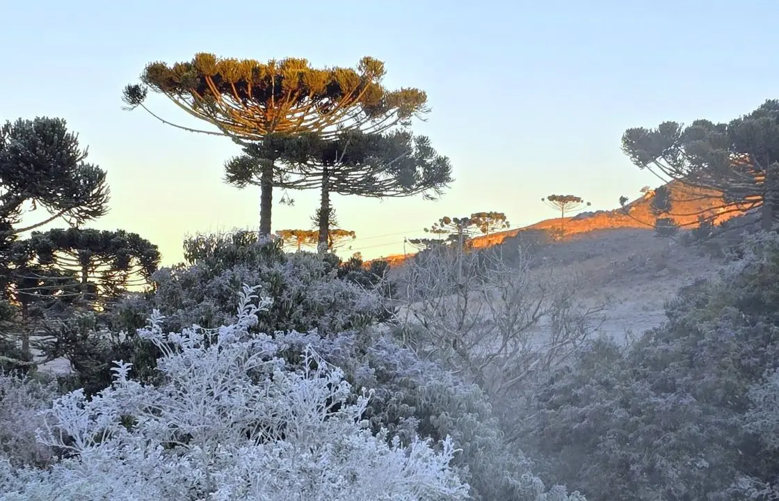 Campos do Jordão registra novo recorde de frio em 2026, 1,3°C na madrugada, cidade amanhece coberta de geada e Inmet emite aviso de perigo potencial