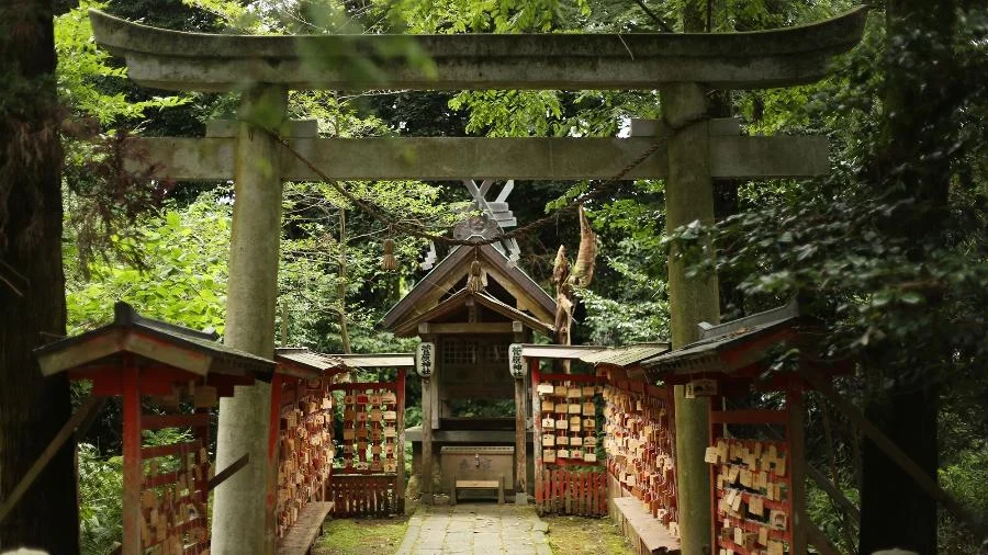 Samurais, fantasmas e gases letais, os bosques proibidos do Japão que guardam templos sagrados, bambuzais amaldiçoados e rituais centenários